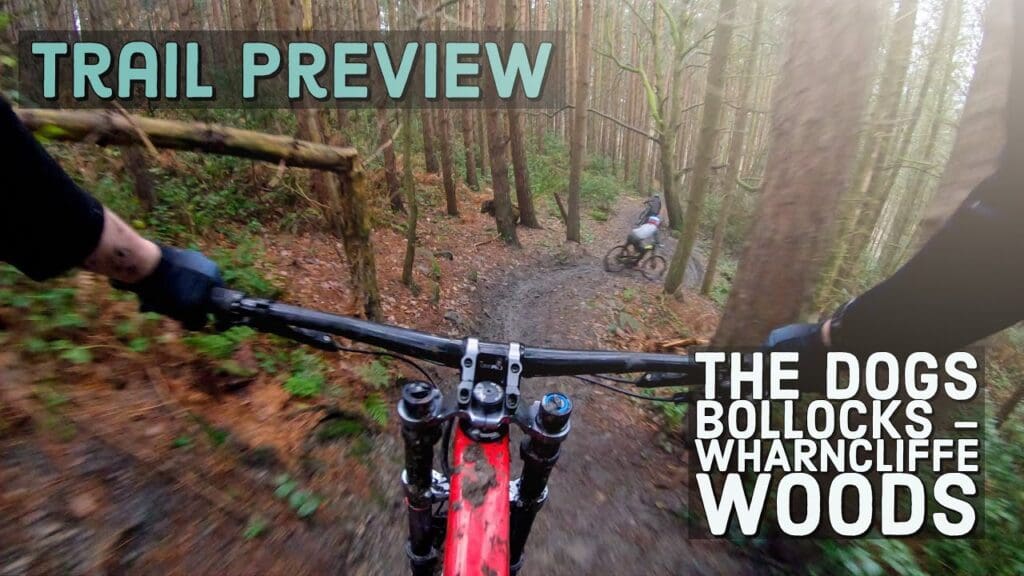 Trail Preview | The Dogs Bollocks – Wharncliffe Woods