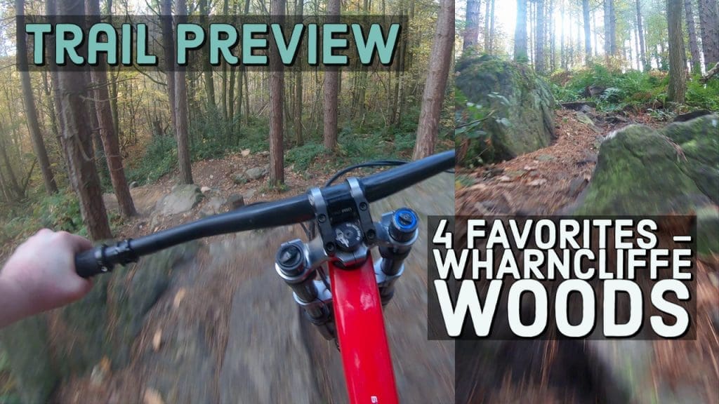 Trail Preview | 4 Favorites – Wharncliffe Woods