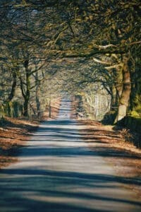 The beautiful tree lined road between Plough Pub and Sir William Hill