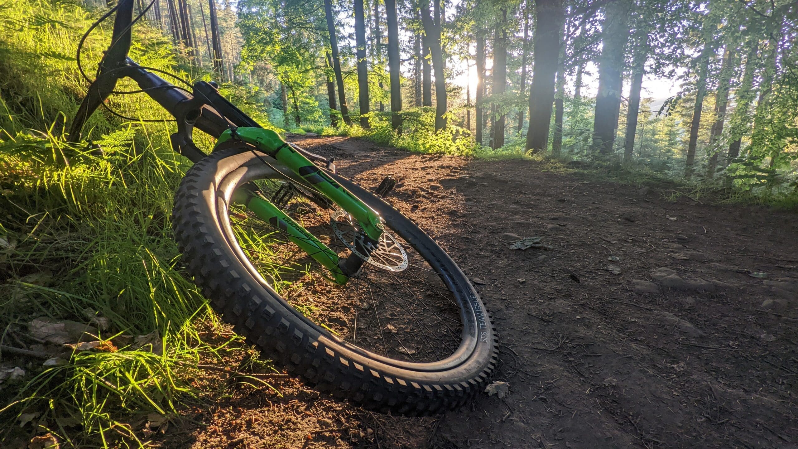 Down through the woods